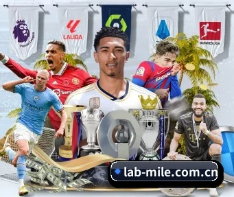lab-mile.com.cn APP